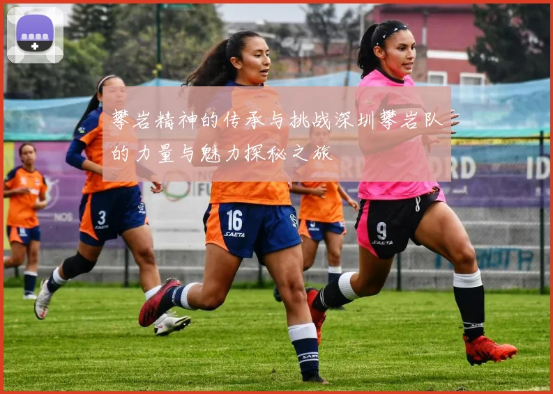 攀岩精神的传承与挑战深圳攀岩队的力量与魅力探秘之旅