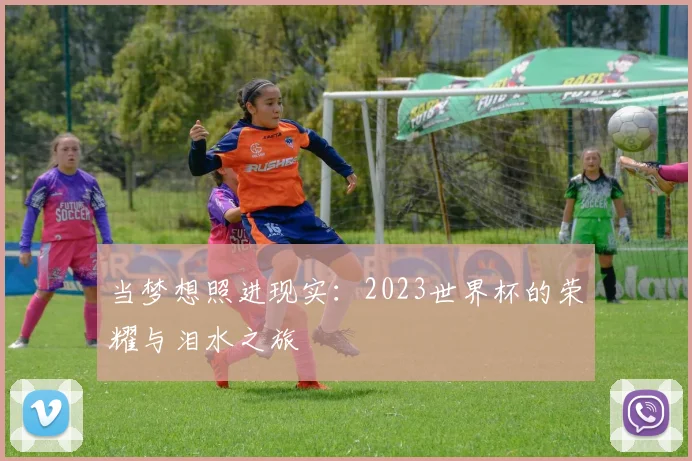 当梦想照进现实：2023世界杯的荣耀与泪水之旅