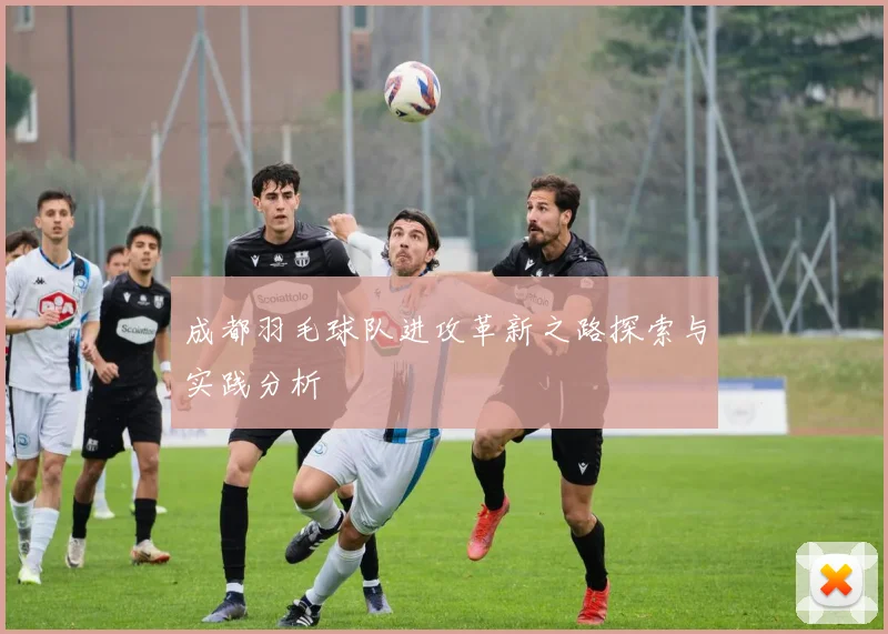 成都羽毛球队进攻革新之路探索与实践分析